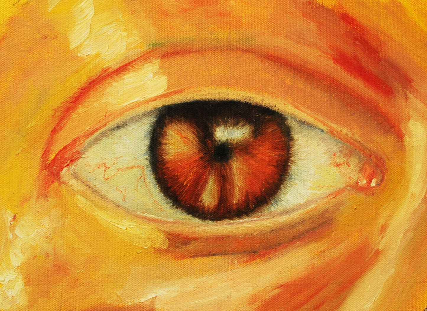 Eye contact